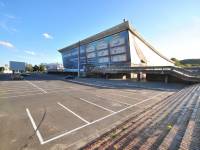 Lodowisko Hala Olivia