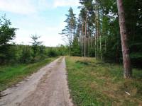 Niebieski szlak turystyczny