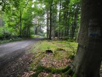 Niebieski szlak turystyczny