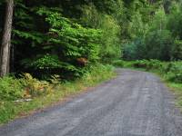 Niebieski szlak turystyczny