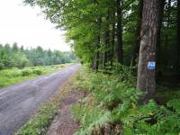 Niebieski szlak turystyczny