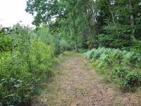 Ścieżka Przyrodniczo - Leśna 