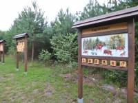 Ścieżka Przyrodniczo - Leśna 