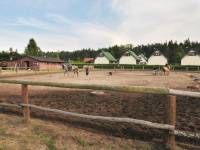 Stadnina koni w Lubiatowie