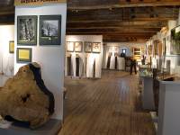 Muzeum Nadwiślańskie / Oddział Przyrodniczy