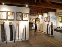 Muzeum Nadwiślańskie / Oddział Przyrodniczy