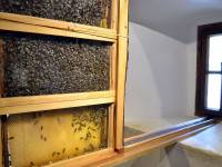 Muzeum Nadwiślańskie / Oddział Przyrodniczy