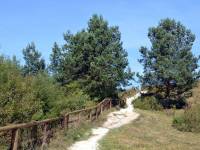 Albrechtówka - Męćmierz