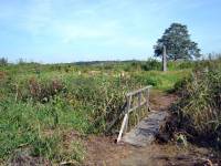 Muzeum Nadwiślańskie / Oddział Grodzisko Żmijowiska