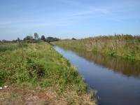 Muzeum Nadwiślańskie / Oddział Grodzisko Żmijowiska