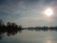 Piotrawin nad Wisłą