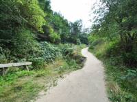 Rezerwat Przyrody „Dolina Chłapowska”