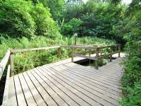 Rezerwat Przyrody „Dolina Chłapowska”