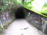 Rezerwat Przyrody „Dolina Chłapowska”