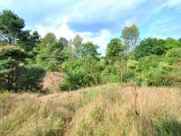 Rezerwat Przyrody „Dolina Chłapowska”