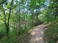 Rezerwat Przyrody „Dolina Chłapowska”