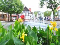 Skwer Aliny Skibniewskiej