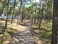 Ścieżka Nordic Walking - trasa nr 3