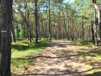 Ścieżka Nordic Walking - trasa nr 3