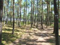 Ścieżka Nordic Walking - trasa nr 3