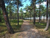 Ścieżka Nordic Walking - trasa nr 3