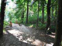 Ścieżka Nordic Walking - trasa nr 3