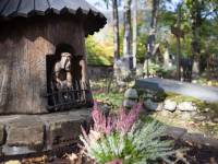 Stary Cmentarz na Pęksowym Brzyzku