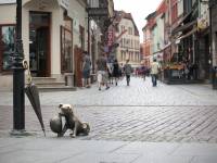 Pomnik psa Filusia w Toruniu