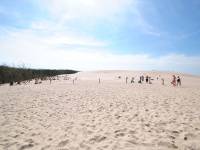 Ruchome Wydmy w Łebie