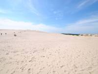 Ruchome Wydmy w Łebie