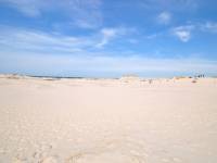 Ruchome Wydmy w Łebie