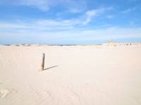 Ruchome Wydmy w Łebie