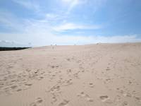 Ruchome Wydmy w Łebie