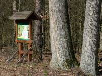 Ścieżka dydaktyczna Kopanina