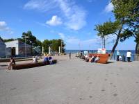 Szkielety wielorybów w Rewalu