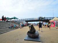 Pomnik morsa w Mielnie