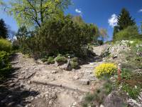 Ogród Botaniczny UMCS