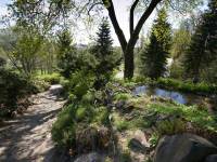 Ogród Botaniczny UMCS