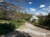 Ogród Botaniczny UMCS