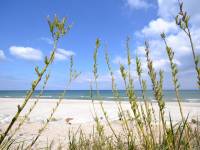 Plaża w Karwieńskich Błotach Drugich