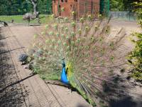 Centrum Rodzinnej Rekreacji