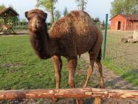 Centrum Rodzinnej Rekreacji