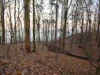 Rezerwat Kępa Redłowska