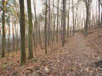 Rezerwat Kępa Redłowska