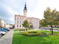 Ratusz w Strzelcach Opolskich