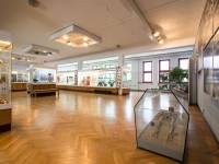 Muzeum Archeologiczne