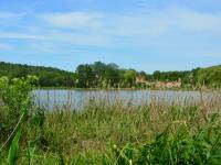 Papiernia w Celejowie