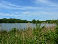 Papiernia w Celejowie