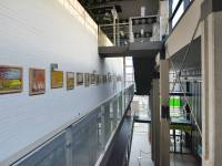 Regionalne Centrum Kultury im. Zbigniewa Herberta