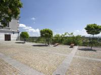 Taras widokowy im. Jerzego Giedroycia